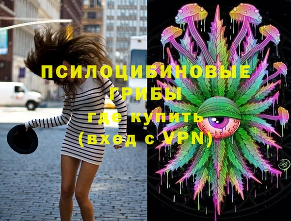 spice Алексеевка