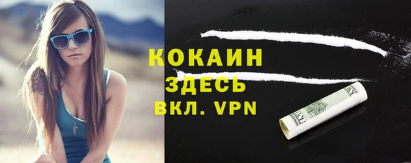 PSILOCYBIN Осинники