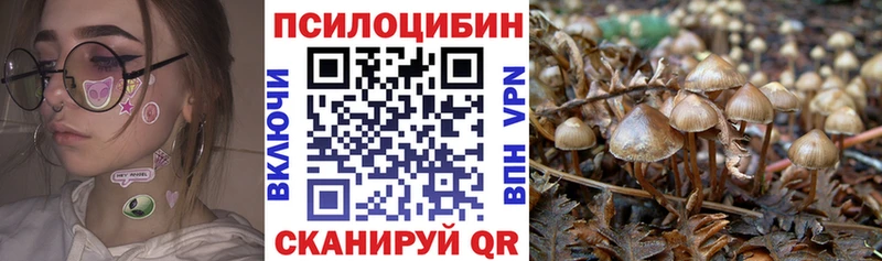 Псилоцибиновые грибы мухоморы Аркадак